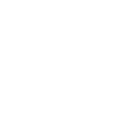 feature-icon