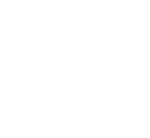 feature-icon